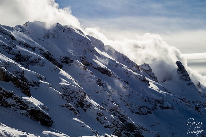 Reissendnollen im Winter
